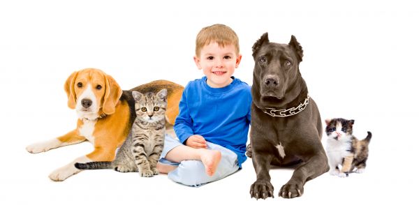 Greeley Pets