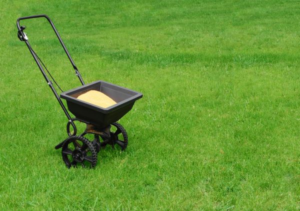 Greeley Lawn Treatment