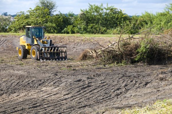Greeley Land Clearing